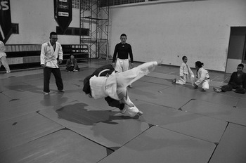 judo-333779_640.jpg